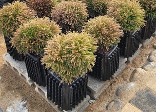 이선미님의 작성글 사진