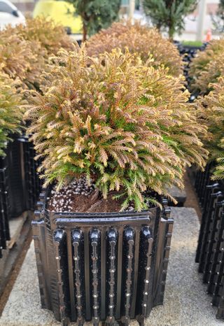 이선미님의 작성글 사진