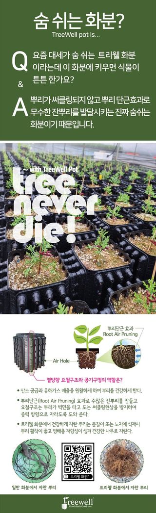 이선미님의 작성글 사진