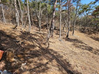 김지훈님의 두릅 · 일상 작성글 사진