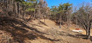 김지훈님의 두릅 · 일상 작성글 사진