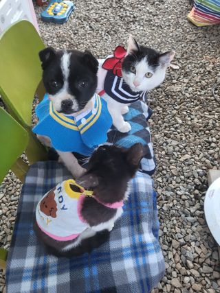 챈지님의 마늘 · 일상 작성글 사진