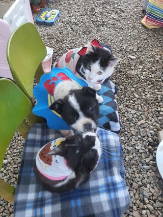 챈지님의 마늘 · 일상 작성글 사진