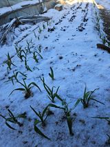 팜모닝 자유주제·사진전 게시글 이미지