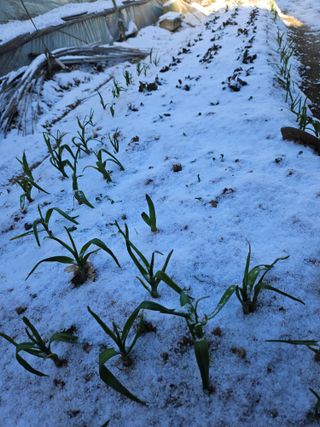 양간다리님의 자유주제 · 사진전 작성글 사진