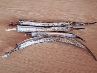 이명신님의 농사, 무엇이든 물어보세요! · 참여글 작성글 사진