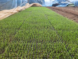 신유성님의 3월 농사 계획 같이해요 · 참여글 작성글 사진