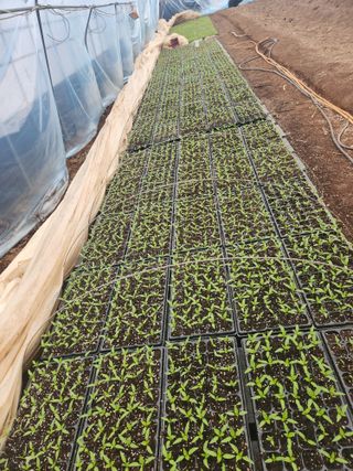 신유성님의 3월 농사 계획 같이해요 · 참여글 작성글 사진