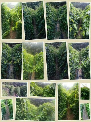 정보센터님의 작성글 사진