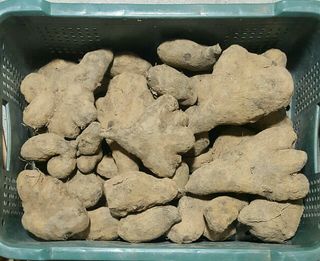 정보센터님의 작성글 사진