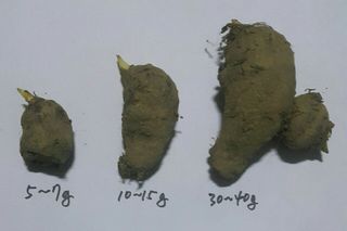 정보센터님의 작성글 사진