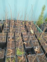 팜모닝 · 게시글 이미지