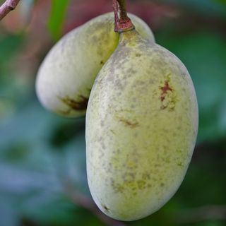 보미어르신님의 작성글 사진