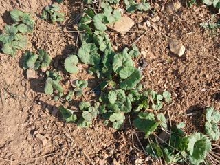 보미어르신님의 작성글 사진