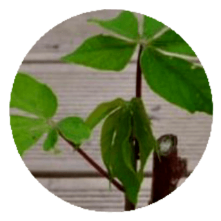 보미어르신님의 작성글 사진