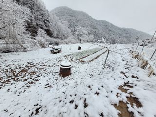 이기석님의 자유주제 · 자유게시판 작성글 사진