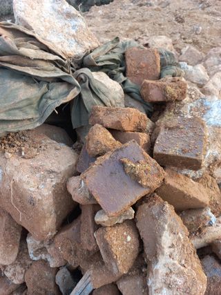 지개꾼님의 농사, 무엇이든 물어보세요! · 참여글 작성글 사진