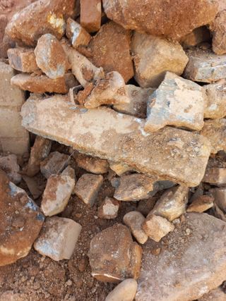 지개꾼님의 농사, 무엇이든 물어보세요! · 참여글 작성글 사진