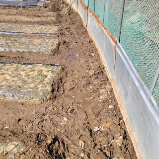 박기식 님의 자유주제 · 자유게시판 작성글 사진