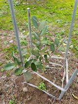 팜모닝 · 게시글 이미지