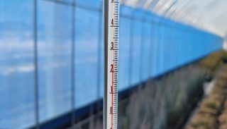 심기섭님의 감자 · 자유게시판 작성글 사진