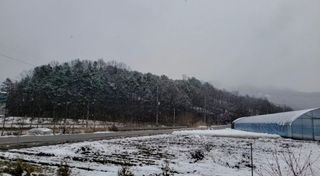 심기섭님의 감자 · 자유게시판 작성글 사진