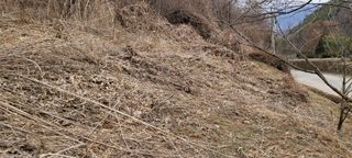 허화자님의 기타작물 · 자유게시판 작성글 사진