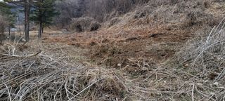 허화자님의 기타작물 · 자유게시판 작성글 사진