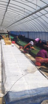 팜모닝 3월 농사 계획 같이해요·참여글 게시글 이미지