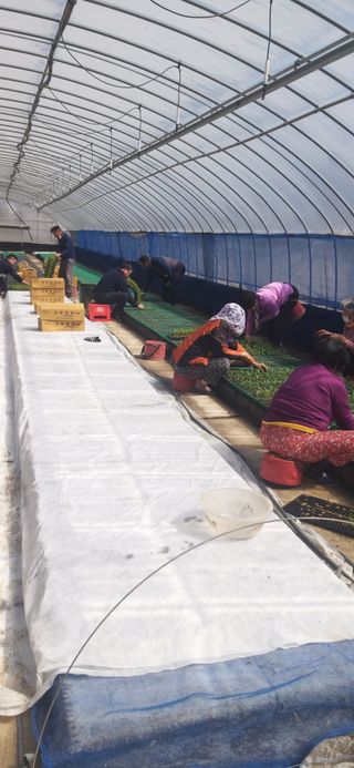 손인순님의 3월 농사 계획 같이해요 · 참여글 작성글 사진