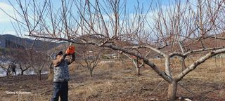 이명신님의 3월 농사 계획 같이해요 · 참여글 작성글 사진