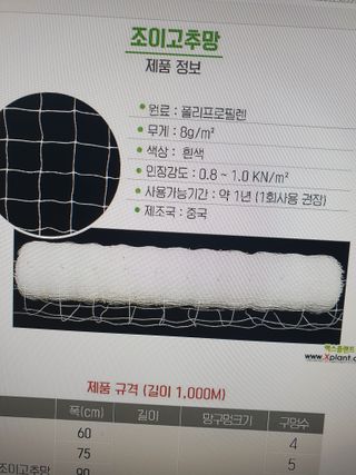 신태상님의 고추 · 지주설치•유인•성장 작성글 사진