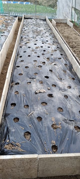 달팽이님의 3월 농사 계획 같이해요 · 참여글 작성글 사진