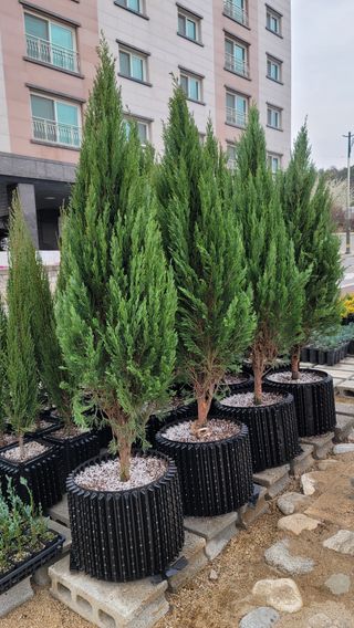 이선미님의 작성글 사진