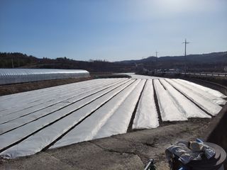 류순년님의 자유주제 · 자유게시판 작성글 사진