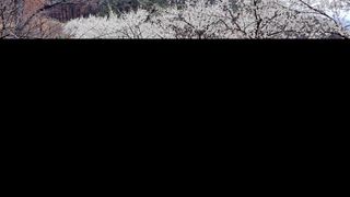 선곡다원님의 3월 농사 계획 같이해요 · 참여글 작성글 사진