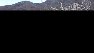 선곡다원님의 3월 농사 계획 같이해요 · 참여글 작성글 사진