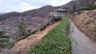 선곡다원님의 3월 농사 계획 같이해요 · 참여글 작성글 사진