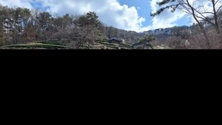 선곡다원님의 3월 농사 계획 같이해요 · 참여글 작성글 사진