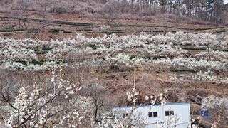 선곡다원님의 3월 농사 계획 같이해요 · 참여글 작성글 사진