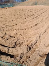 팜모닝 자유주제·자유게시판 게시글 이미지