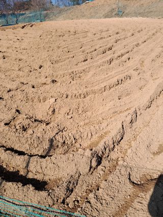 김재희님의 자유주제 · 자유게시판 작성글 사진