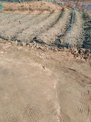 김재희님의 자유주제 · 자유게시판 작성글 사진