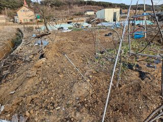 왜목 김진규님의 자유주제 · 자유게시판 작성글 사진