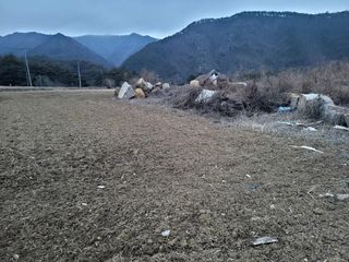 죽암호진님의 3월 농사 계획 같이해요 · 참여글 작성글 사진