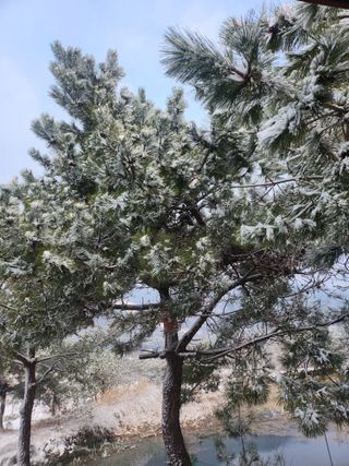 박준호님의 기타작물 · 자유게시판 작성글 사진