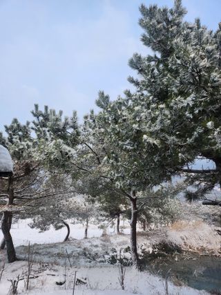 박준호님의 기타작물 · 자유게시판 작성글 사진