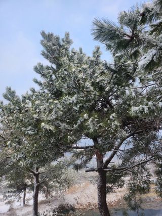 박준호님의 기타작물 · 자유게시판 작성글 사진