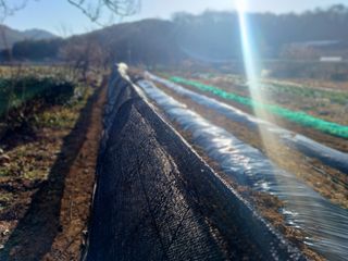 바람소리님의 자유주제 · 건의해요 작성글 사진