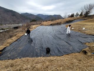 성훈경님의 감 · 자유게시판 작성글 사진